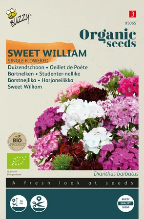 Buzzy® Organic Dianthus, Duizendschoon mix (BIO) - afbeelding 1