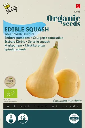 Buzzy® Organic Eetbare Pompoen Waltham Butternut  (BIO) - afbeelding 1