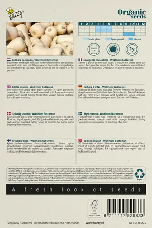 Buzzy® Organic Eetbare Pompoen Waltham Butternut  (BIO) - afbeelding 2