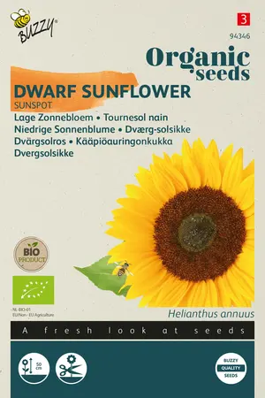Buzzy® Organic Helianthus, Lage zonnebloem Sunspot (BIO) - afbeelding 1