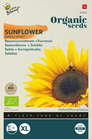 Buzzy® Organic Helianthus, Reuzenzonnebloem giganteus  (BIO) - afbeelding 1