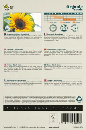 Buzzy® Organic Helianthus, Reuzenzonnebloem giganteus  (BIO) - afbeelding 2