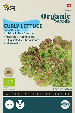 Buzzy® Organic Krulsla Lollo Rossa  (BIO) - afbeelding 1
