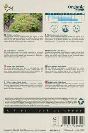 Buzzy® Organic Krulsla Lollo Rossa  (BIO) - afbeelding 2