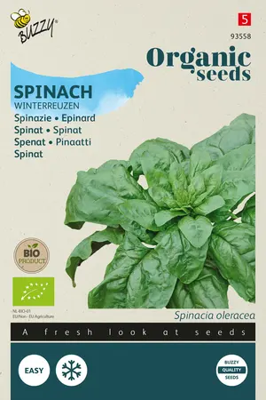 Buzzy® Organic Spinazie Winterreuzen (BIO) - afbeelding 1