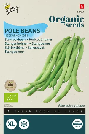 Buzzy® Organic Stokspekboon Neckarkönigin (BIO) - afbeelding 1