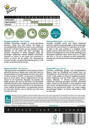 Buzzy® Ornamental Grasses Chinees prachtriet 'New Hybrids' - afbeelding 2