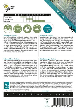 Buzzy® Ornamental Grasses, Zwenkgras 'Festina' - afbeelding 2