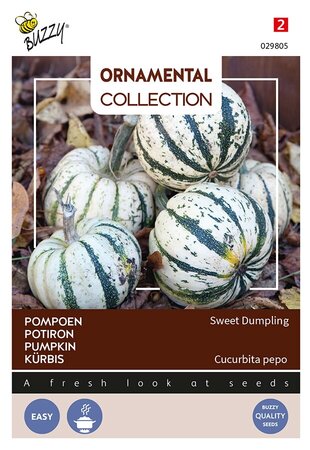 Buzzy® Ornamental Pompoen Sweet Dumpling - afbeelding 1