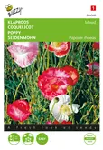 Buzzy® Papaver, Klaproos gemengd - afbeelding 1