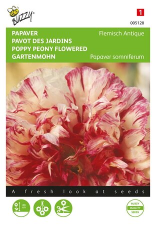 Buzzy® Papaver, Slaapbol Flemish Antique - afbeelding 1