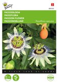 Buzzy® Passiflora, Passiebloem - afbeelding 1