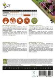 Buzzy® Patio Veggies, Aubergine Patio Baby F1 - afbeelding 2