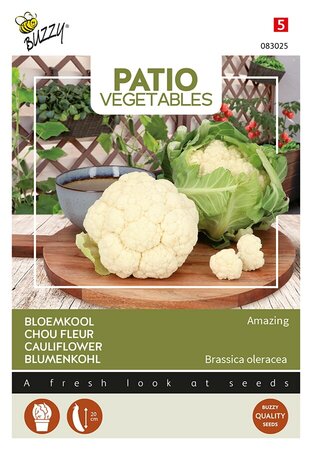 Buzzy® Patio Veggies, Bloemkool Amazing - afbeelding 1