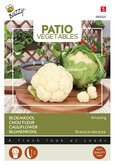 Buzzy® Patio Veggies, Bloemkool Amazing - afbeelding 1