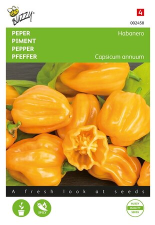 Buzzy® Peper Habanero oranje - afbeelding 1