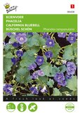 Buzzy® Phacelia, Bijenvoer - afbeelding 1