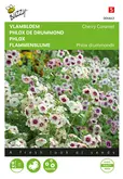 Buzzy® Phlox, Vlambloem Cherry Caramel - afbeelding 1