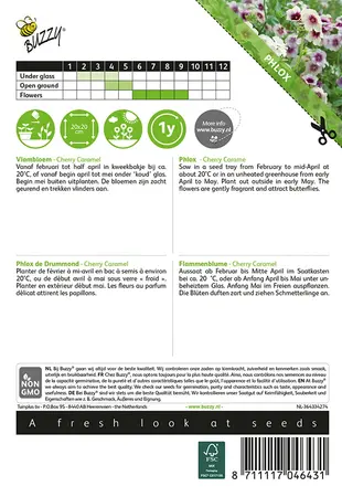 Buzzy® Phlox, Vlambloem Cherry Caramel - afbeelding 2