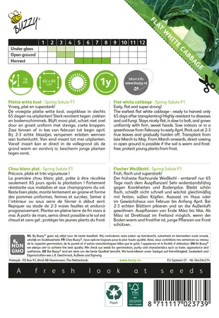 Buzzy® Platte Witte Kool Spring Salute F1 - afbeelding 2