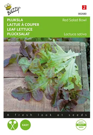 Buzzy® Pluksla Red Salad Bowl, Rode Eikenblad - afbeelding 1