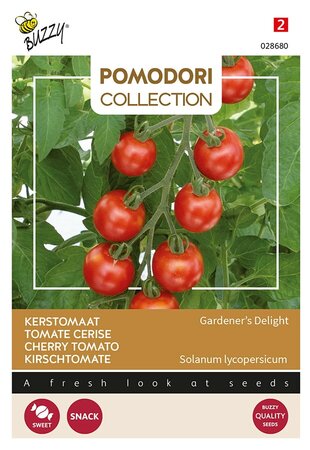 Buzzy® Pomodori, Kerstomaat Gardeners Delight (Cherry) - afbeelding 1