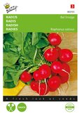 Buzzy® Radijs Bel Image, Ronde Rode Kortlof - afbeelding 1