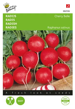 Buzzy® Radijs Cherry Belle - afbeelding 1