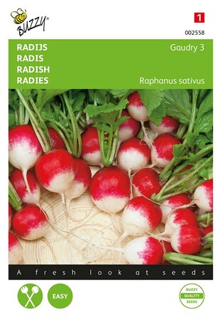 Buzzy® Radijs Gaudry 3 - afbeelding 1