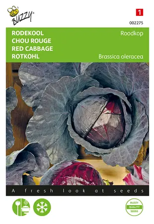 Buzzy® Rode kool Roodkop - afbeelding 1