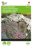 Buzzy® Rotstuinbloemen Mengsel - afbeelding 1