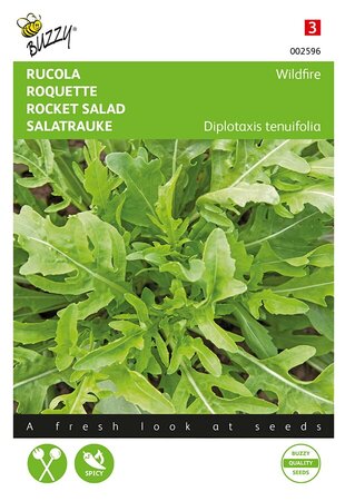 Buzzy® Rucola Wasabi - afbeelding 1