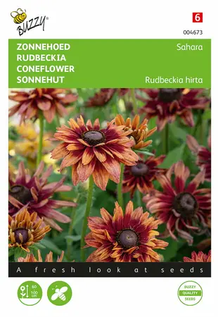Buzzy® Rudbeckia, Zonnehoed Sahara - afbeelding 1