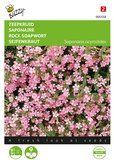 Buzzy® Saponaria, Zeepkruid - afbeelding 1