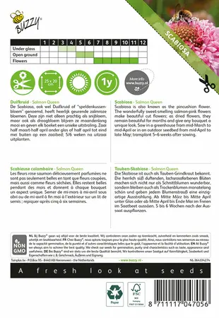 Buzzy® Scabiosa, Duifkruid Salmon Queen - afbeelding 2