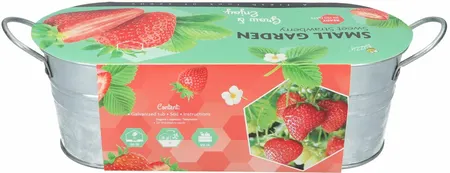 Buzzy® Small Garden Sweet Strawberry