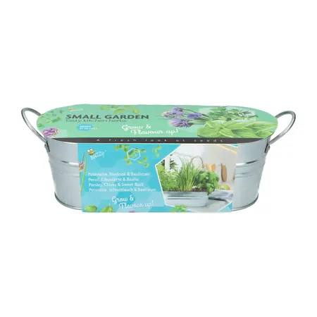 Buzzy® Small Garden Tasty kitchen herbs - afbeelding 1