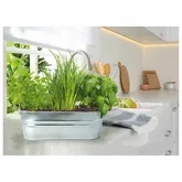 Buzzy® Small Garden Tasty kitchen herbs - afbeelding 2