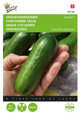 Buzzy® Snackkomkommer  Iznik F1 - afbeelding 1