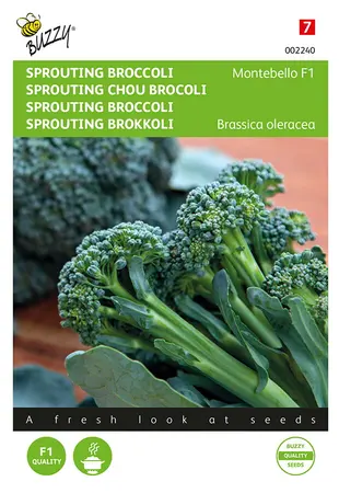 Buzzy® Sprouting Broccoli Montebello F1 - afbeelding 1
