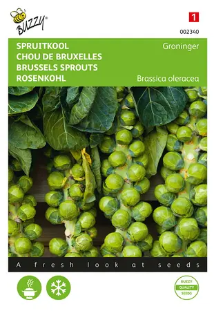 Buzzy® Spruitkool Groninger - afbeelding 1