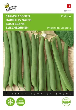 Buzzy® Stamslabonen Prelude - afbeelding 1