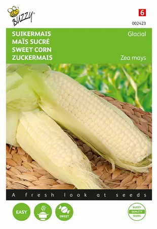 Buzzy® Suikermais Glacial - afbeelding 1