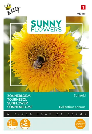Buzzy® Sunny Flowers, lage Zonnebloem Sungold dubbelbloemig - afbeelding 1