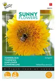 Buzzy® Sunny Flowers, lage Zonnebloem Sungold dubbelbloemig - afbeelding 1