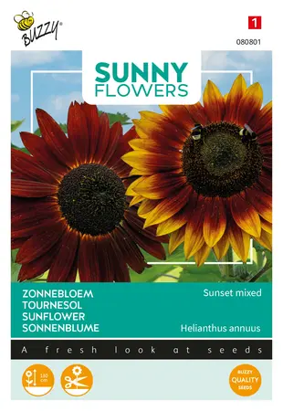 Buzzy® Sunny Flowers, Zonnebloem Avondzon - afbeelding 1