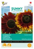 Buzzy® Sunny Flowers, Zonnebloem Avondzon - afbeelding 1