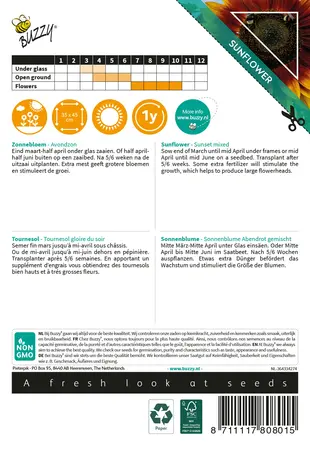 Buzzy® Sunny Flowers, Zonnebloem Avondzon - afbeelding 2