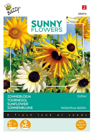 Buzzy® Sunny Flowers, Zonnebloem Esther - afbeelding 1