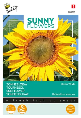 Buzzy® Sunny Flowers, Zonnebloem Henri Wilde - afbeelding 1